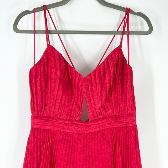 Amur Dominique Tiered Pleated Lace Print Maxi Dress in Raspberry Rose - Picture 4 of 11